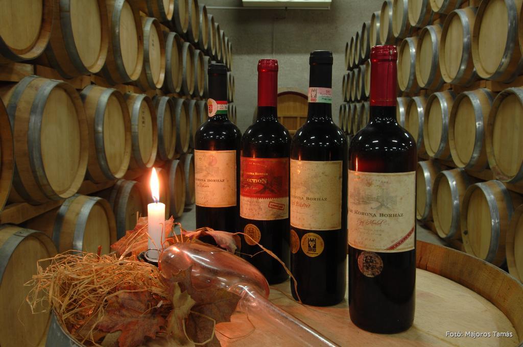 Grape&Wine Guesthouse Eger Ngoại thất bức ảnh
